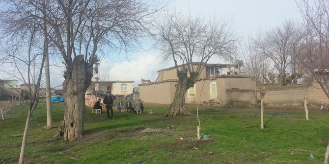 Bismil Bölümlü Köyü