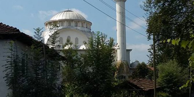 Çarşamba Alibeyli Köyü