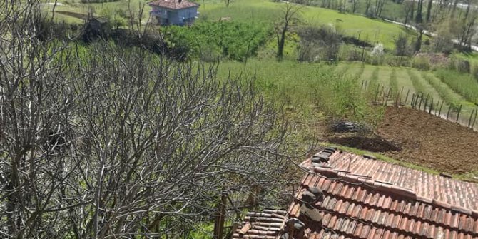 Çarşamba Bezirgan Köyü