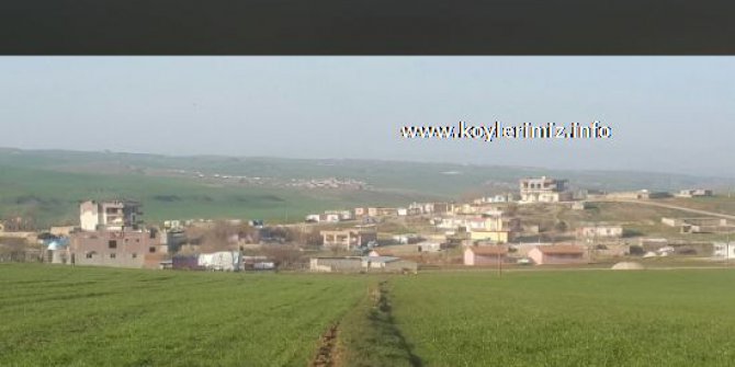 Bismil Çatalköy Köyü