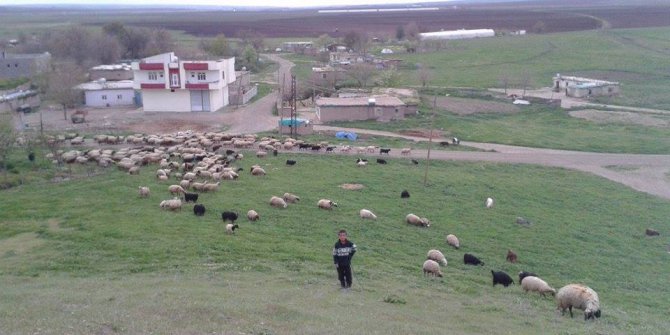 Bismil Çöltepe Köyü