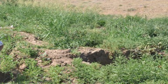 Bismil Dikmetepe Köyü