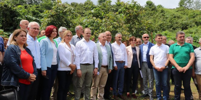 Fındık En Az 20 Lira Olmalı