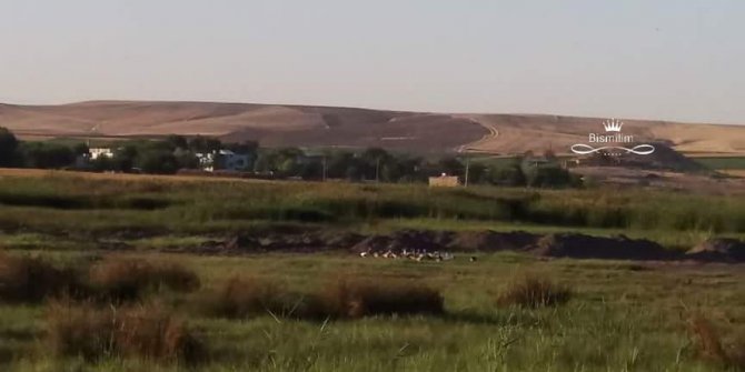 Bismil Gültepe Köyü