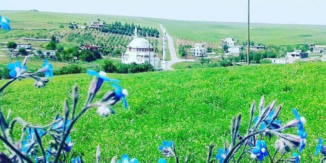 Bismil Işıklar Köyü