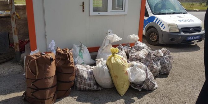 Ağrı’da Kaçak Salep Toplayanlara Ceza Yağdı