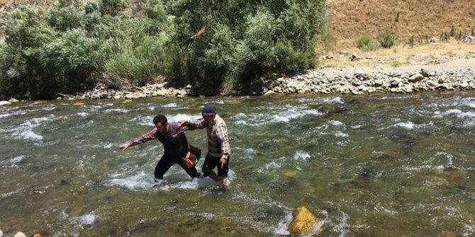 Genç Veterinerden Alkışlanacak Davranış