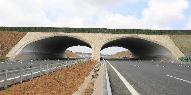 Kuzey Marmara Otoyolu Güzergahına 604 Bin Fidan Daha Dikilecek