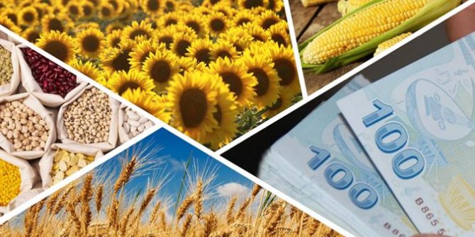 Çiftçiye 1 Milyar 200 Milyonluk Ödeme