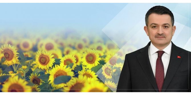 Ayçiçeği Üreticilerine Bayram Müjdesi