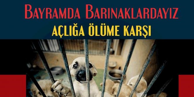 İnsanların Bayramı Hayvanların Felaketi Olmasın