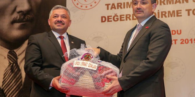 Tmo Fındık Alımlarına Başlıyor