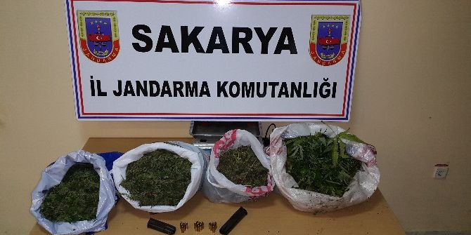 4 İlçede Uyuşturucu Operasyonu