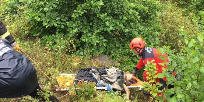 Uçurumdan Yuvarlanan Köpeğe Film Gibi Kurtarma Operasyonu