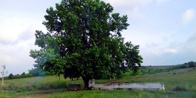 Germencik Dere Köyü