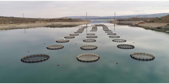Baraj Ve Göletlerde 30 Farklı Balık Türü Yaşıyor