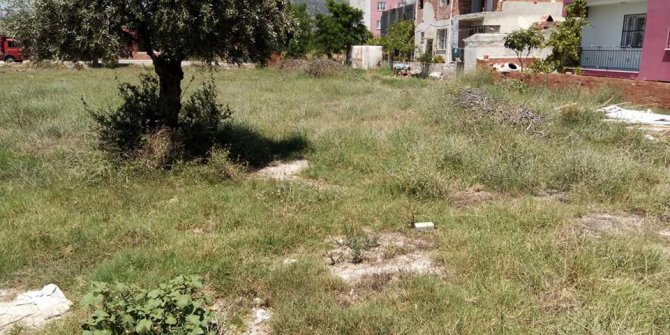 Germencik Mesudiye Köyü