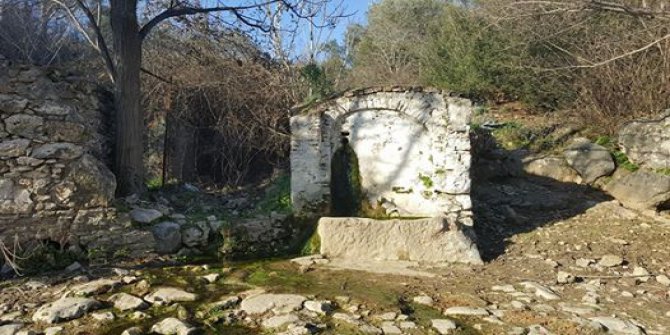 Germencik Naipli Köyü