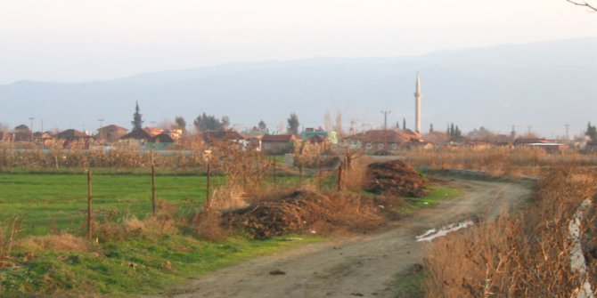 Germencik Tekin Köyü