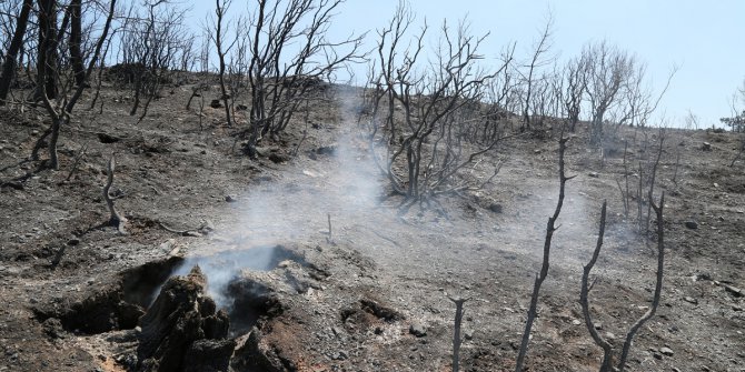 “Yanan Alanları Doğaya Kazandırırken Dikkat”