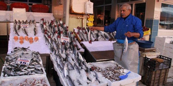 Yozgat’ta Balık Tezgahlarında Çeşitlilik Arttı