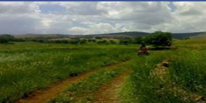 Çınar Ağaçsever Köyü