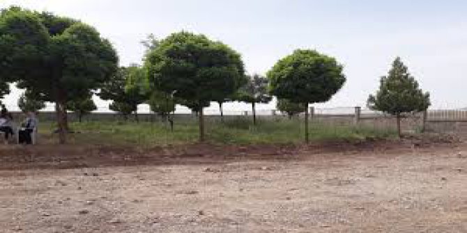 Çınar Alabaş Köyü