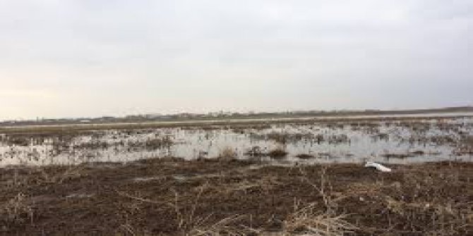 Çınar Bozçalı Köyü