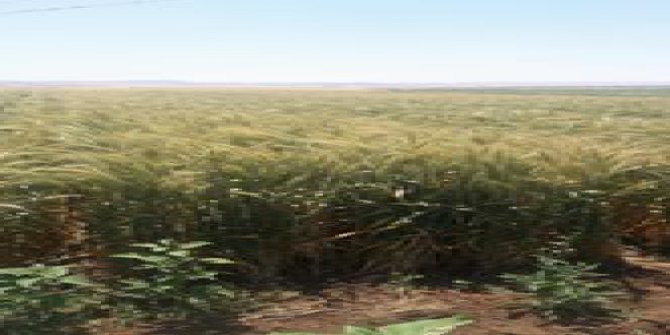 Çınar Çakırkaya Köyü