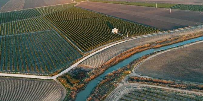 Toplulaştırmada 2023 Hedefi 8.5 Milyon Hektar