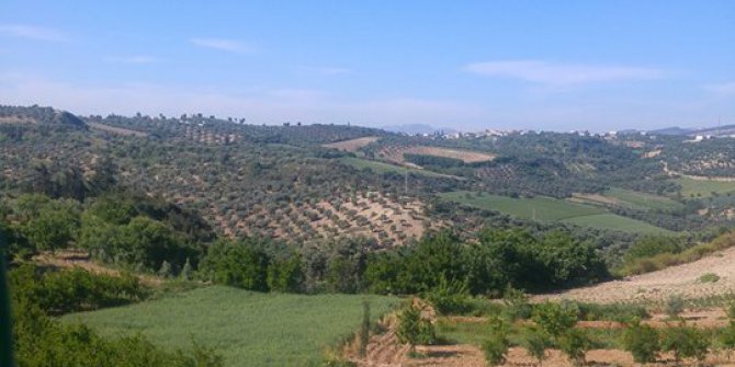 Antakya Bitiren Köyü