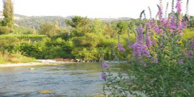 Acıpayam Alcı Köyü