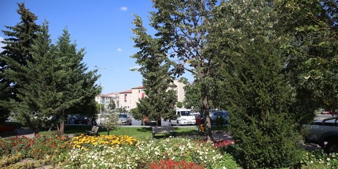Melikgazi Yine Çiçek Açacak