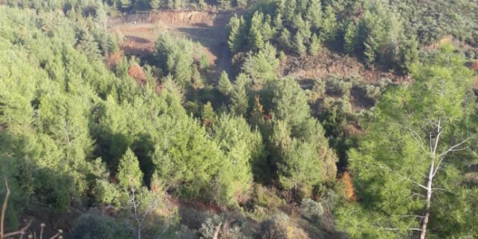 Antakya Gülderen Köyü