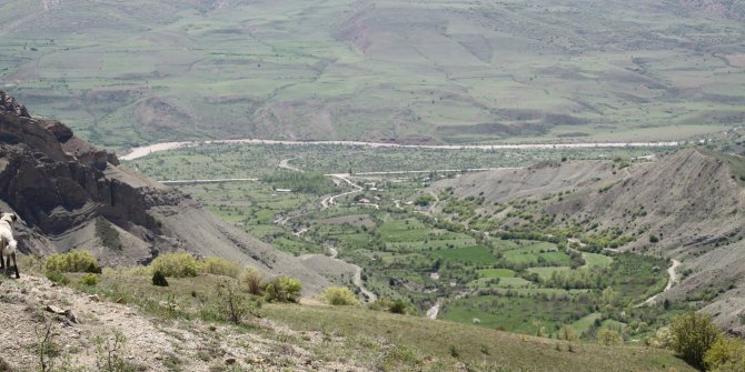 Kemah Beşikli Köyü