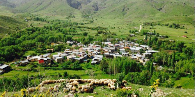 Kemah Bozoğlak Köyü