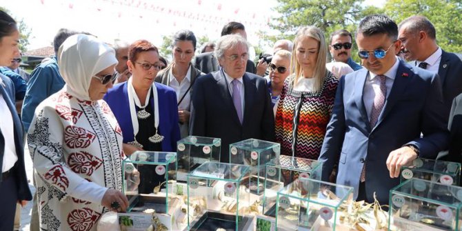 “Ana Dolu’nun Ata Tohumları”