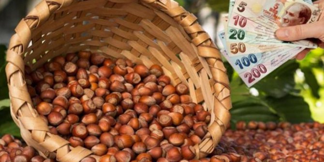 Fındık Alım Ödemeleri Başladı