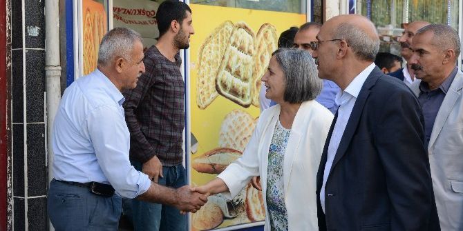 Eş Başkanlar Silvan’da Çalışma Alanlarını Denetledi