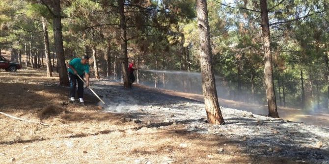 Ormanlık Alandaki Yangın Büyümeden Söndürüldü