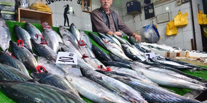 Balığın Bol Olması Hem Balıkçıları Hem De Vatandaşların Yüzünü Güldürüyor