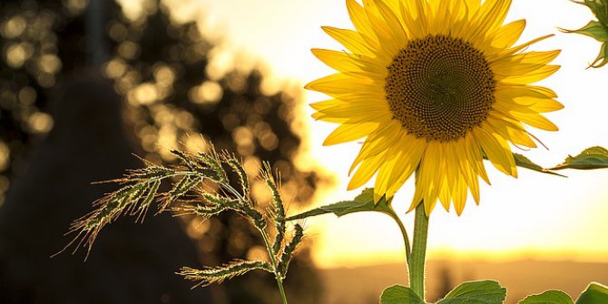 Tarım- Üfe Yüzde 19 Arttı