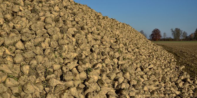 Şeker Üretim Yılı Törenle Başlıyor