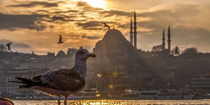 Afad : “İstanbul’un Havasında İnsan Sağlığını Tehdit Eden Bir Durum Yok”