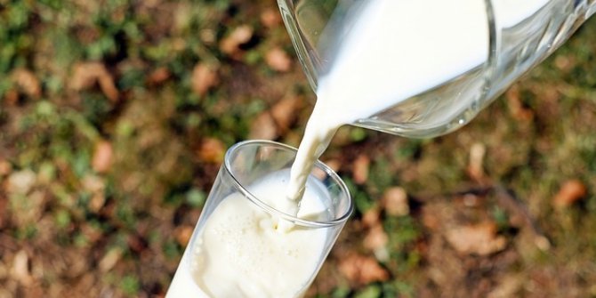 Dünya Süt Zirvesi Türkiye’de Yapılacak