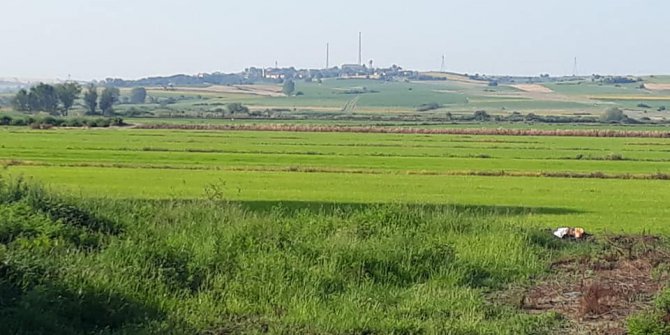 Meriç Akçadam Köyü