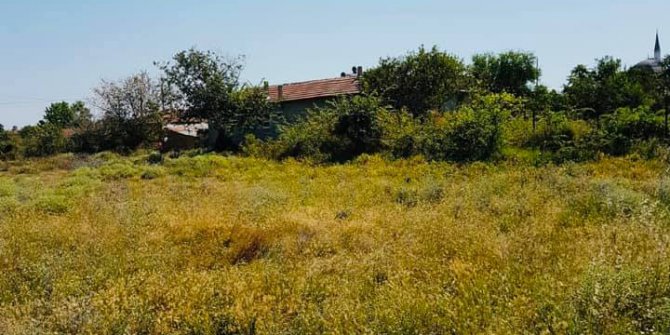 Meriç Büyükaltıağaç Köyü