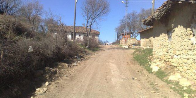 Meriç Karahamza Köyü