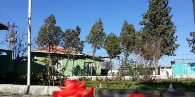 Meriç Paşayenice Köyü