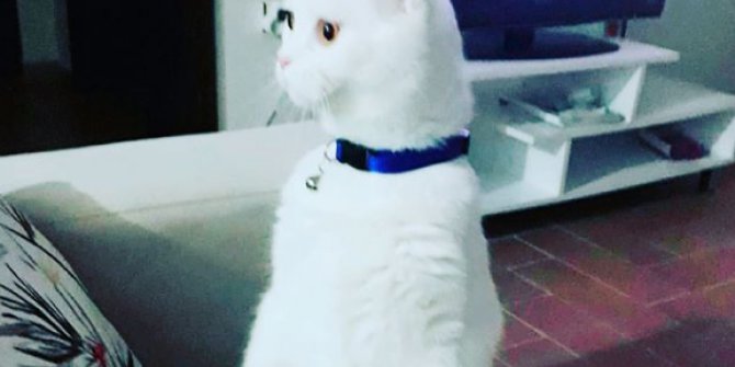 Hakan Peker Can Dostlarımızı Unutmadı